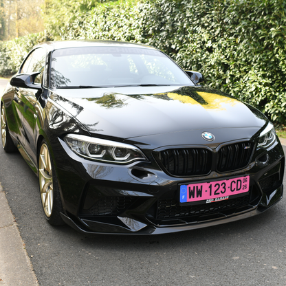 Plaque d'immatriculation "WW" CPI / 1 unité